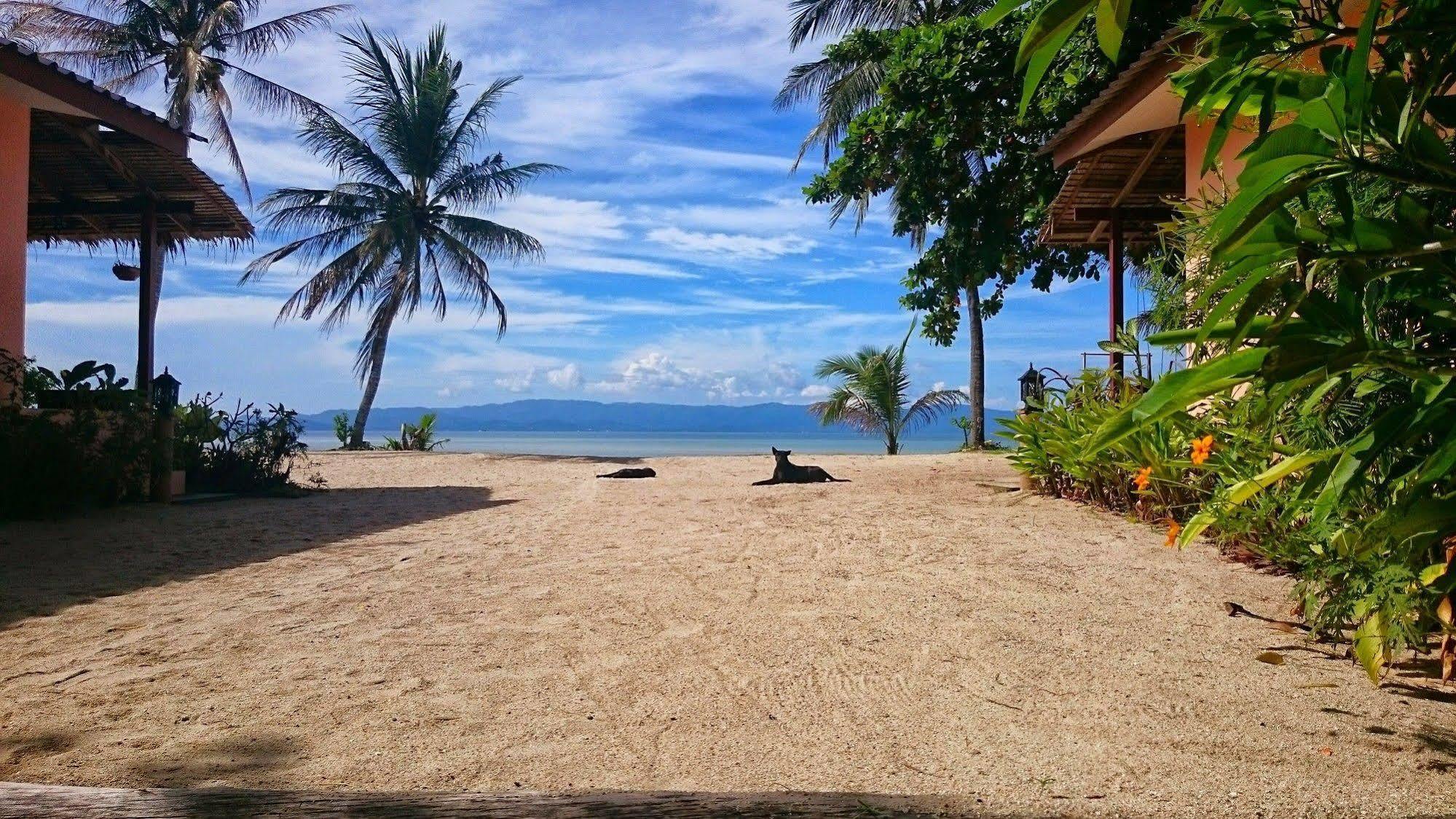 Papillon Bungalows Ban Tai Exterior foto